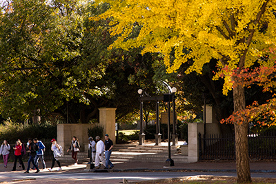 UGA Arch