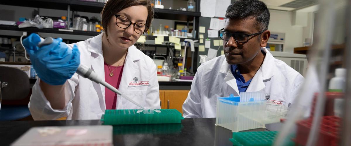 Graduate Students in the lab