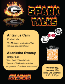 January SPARK Talk