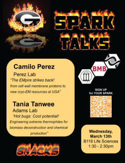 March SPARK Talk