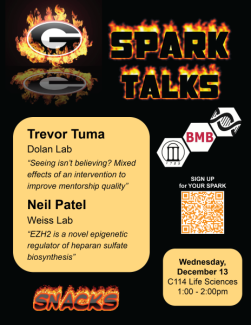 December SPARK Talk