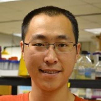 Xinfu "Ralph" Zhang (Dr. Mike Terns' lab)