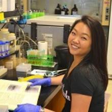 Jenny Kim (Dr. Mike Terns lab)