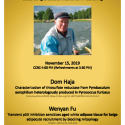 Eriksson Flyer
